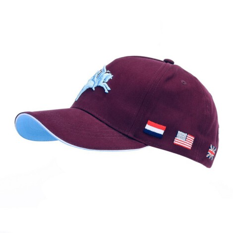 215084 Baseball cap Pegasus WWII 3D